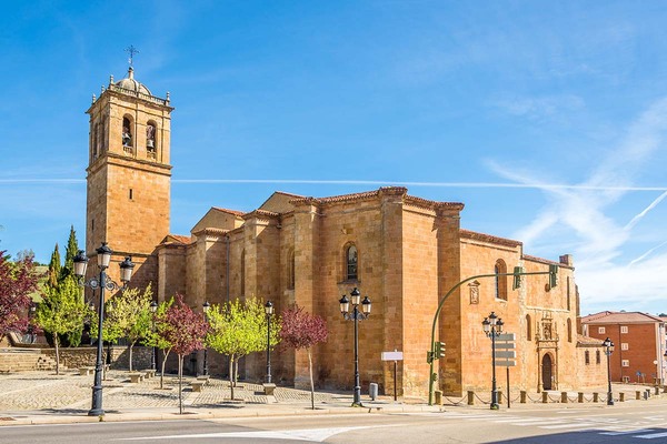 Catedral de San Pedro