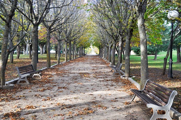 Parque de la Dehesa