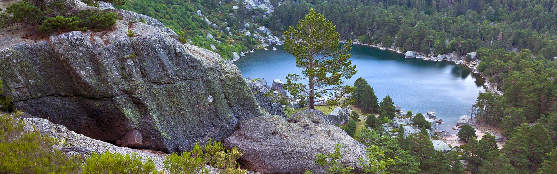 Vistas del Bosque de Irati